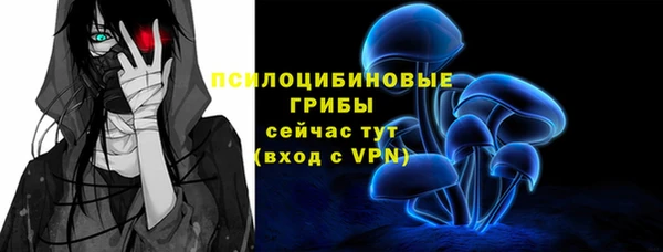 хмурый Армянск