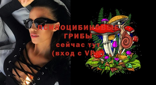 хмурый Армянск