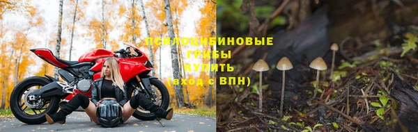 хмурый Армянск