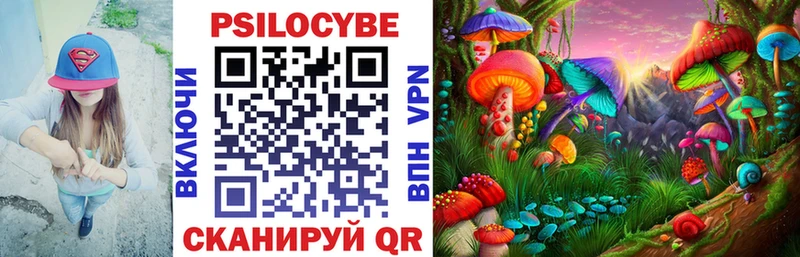 mega зеркало  Злынка  Псилоцибиновые грибы Cubensis  даркнет сайт 
