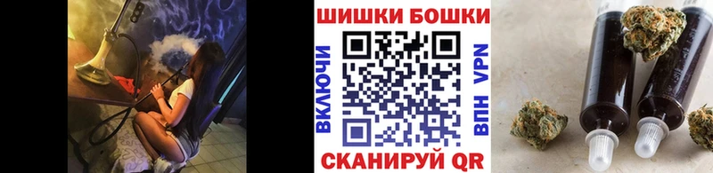 купить   Злынка  Шишки марихуана план 